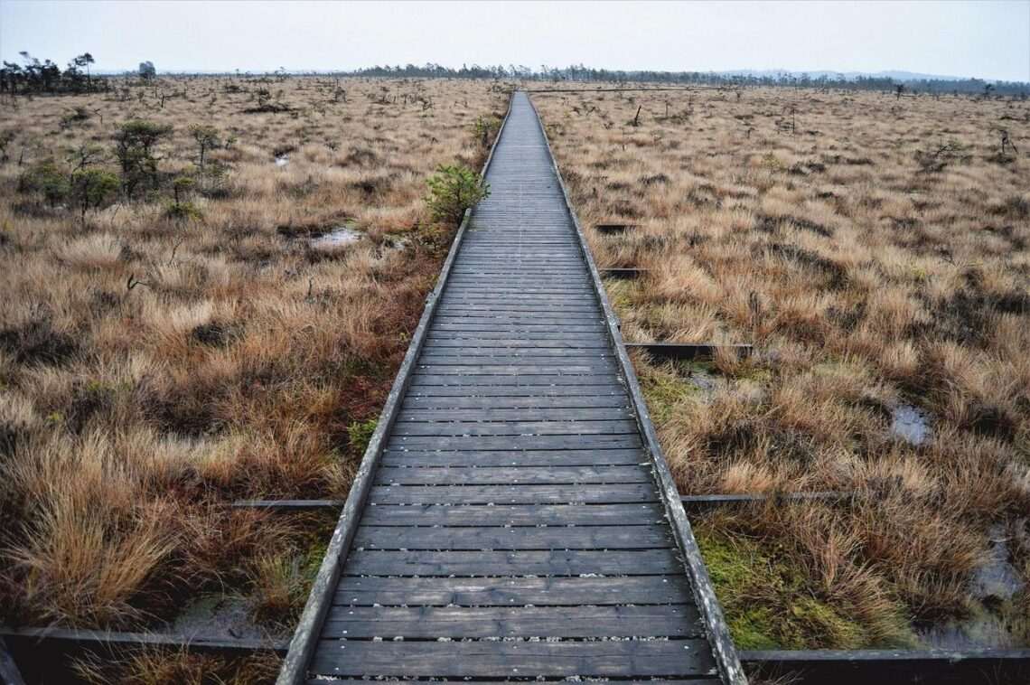 National personal care company to close Knoxville location, laying off 132 – WATE 6 On Your Side