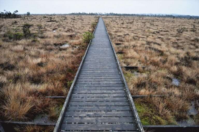 National personal care company to close Knoxville location, laying off 132 – WATE 6 On Your Side